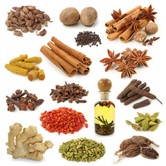 Spice collection isolated on white background