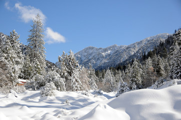 winter landscape