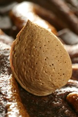 Almond nuts over chocolate, delicious golden food