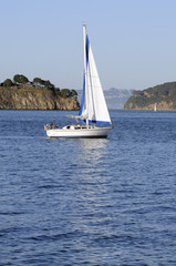 Sailboat in the bay