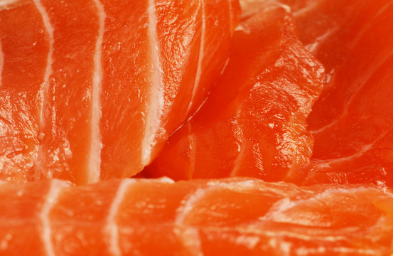 salmon texture