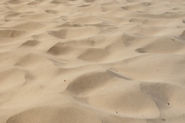 Dünenlandschaft