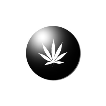 bouton noir : cannabis, marijuana