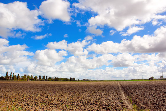 Italy, Padana plain near Ravenna