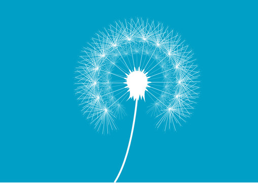 Fototapeta Pusteblume Blau
