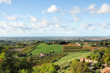 Fototapeta na wymiar Włochy, Romagna wzgórza winnic w pobliżu Longiano