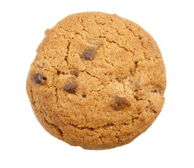 biscuit new