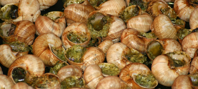 Escargot