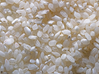 Rice background