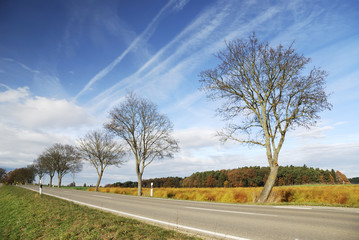 Fototapeta premium Autumn lanscape