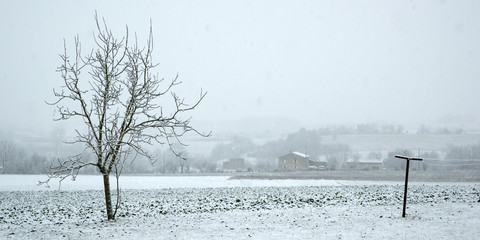 l'hiver des campagnes