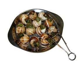 escargots de bourgogne