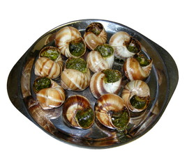 escargots de bourgogne