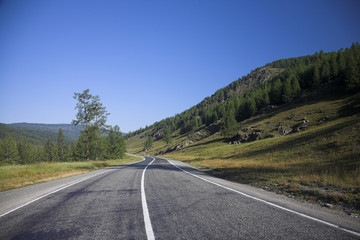 Naklejka premium Road to future