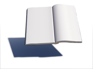 Blank book