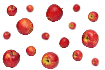 Apple Rain