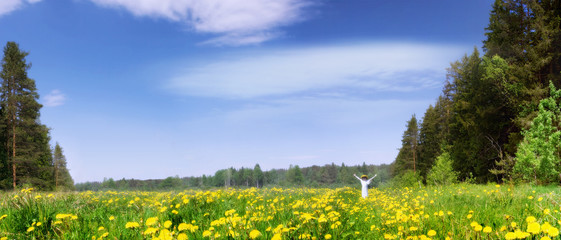 Panorama of a blossoming meadow