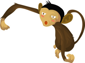 MONKEY