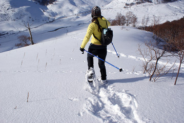 Snow walking II