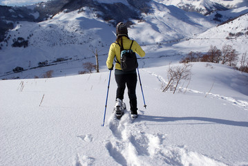 Freeride