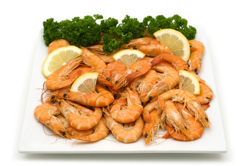 dish of shrimps on white background