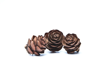 Three pine cone