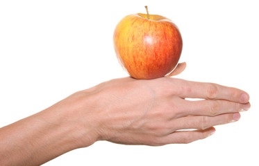 red apple in male hand