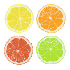 Fototapeta premium Citrus Slices