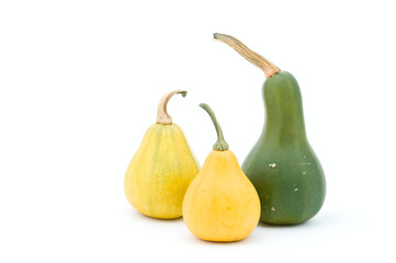 Decorative pumpkins