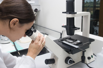 work in the laboratory