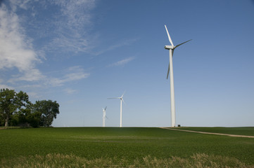 Fototapeta premium Wind Turbines