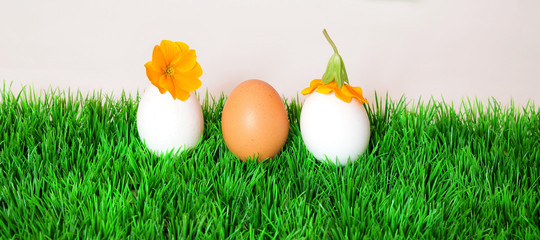 3 ostereier auf Wiese