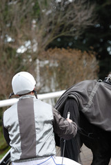 driver et son cheval