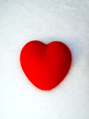 Fototapeta premium Red heart