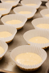 Rows of unbaked cup cakes lined up