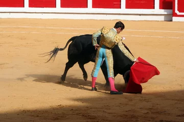 Printed kitchen splashbacks Bullfighting Bullfighting