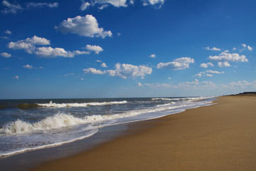Virginia beach