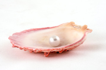 pearl and shell