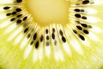Selbstklebende Fototapeten kiwi exotische frucht © Maksim Shebeko