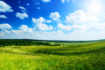 Obraz premium summer day