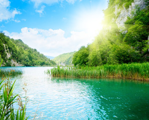 Fototapeta premium forest rock and lake