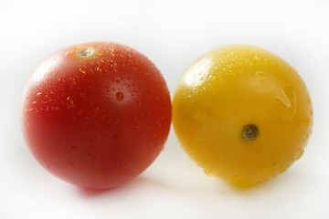 Little cherry varied multi color tomatoes