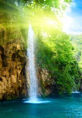 Gartenposter Wasserfälle Wasserfall im tiefen Wald