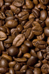 Kaffeebohnen