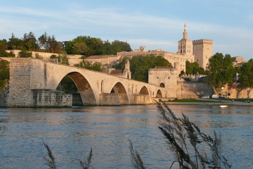 avignon