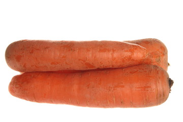 carrots