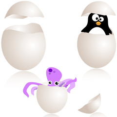 Surprised eggs, the empty can be customized by inserting stuff