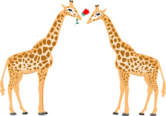 valentine card with giraffes
