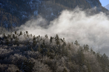 Königssee - Nebel - Wolkenbildung