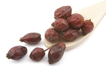 rose hip 2